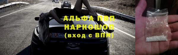 гашик Алексин
