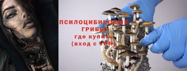 твердый Алзамай