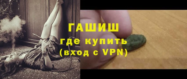 гашик Алексин