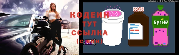 гашик Алексин