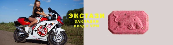 гашик Алексин