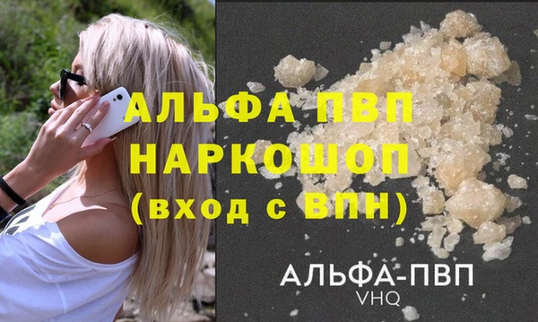 гашик Алексин