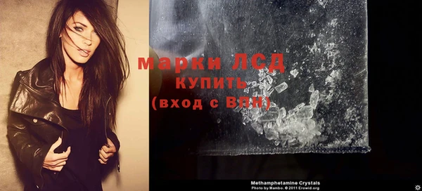 гашик Алексин