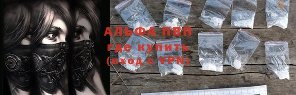 гашик Алексин