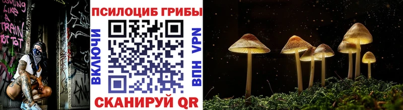Галлюциногенные грибы Magic Shrooms  Нюрба 